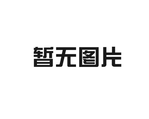 确保游乐设备的正常运行和安全性，定期进行维护和检查